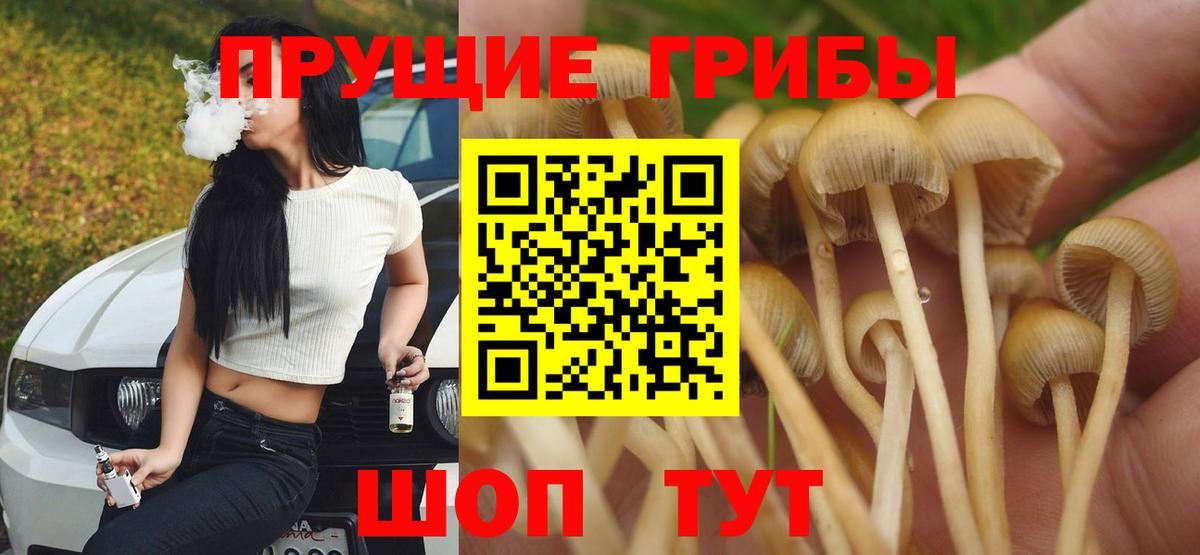 Галлюциногенные грибы мицелий  Галлюциногенные грибы мицелий  Вход с VPN  Камышлов 