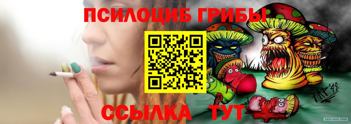 Псилоцибиновые грибы прущие грибы Камышлов